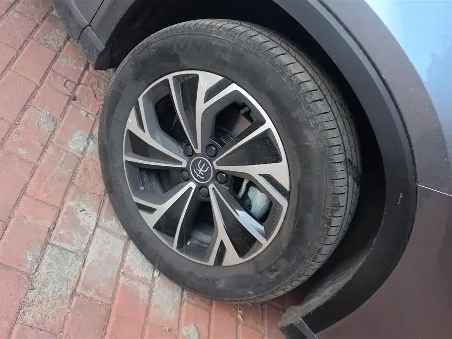 BYD Pro New Energy 2025 из CN, фото 9
