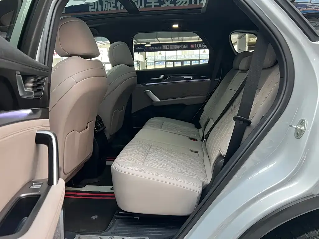 BYD Tang New Energy 2024 из CN, фото 6