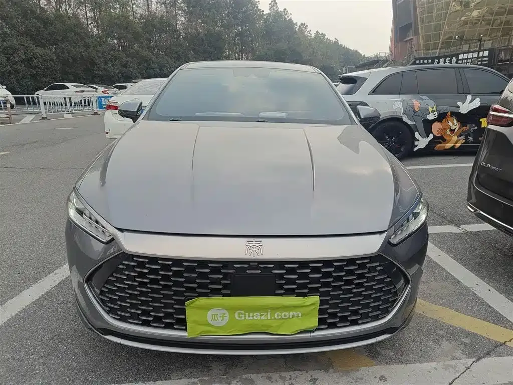 BYD Qin PLUS 2024 из CN, фото 6