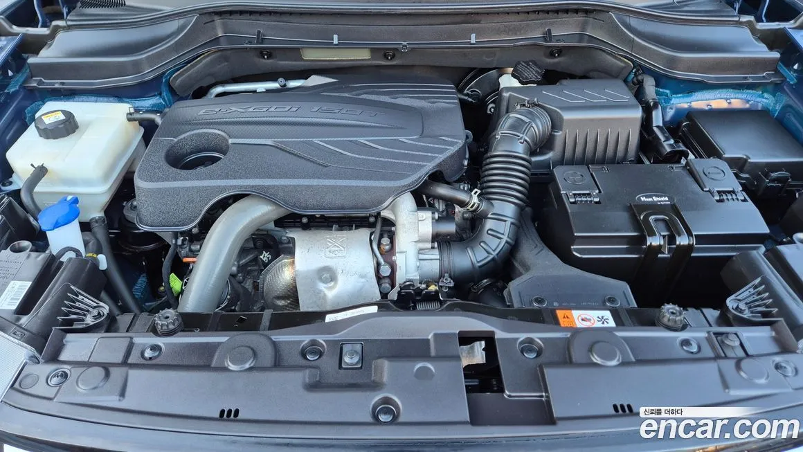 [object Object] TIBOLI 2022 из KR, фото 8