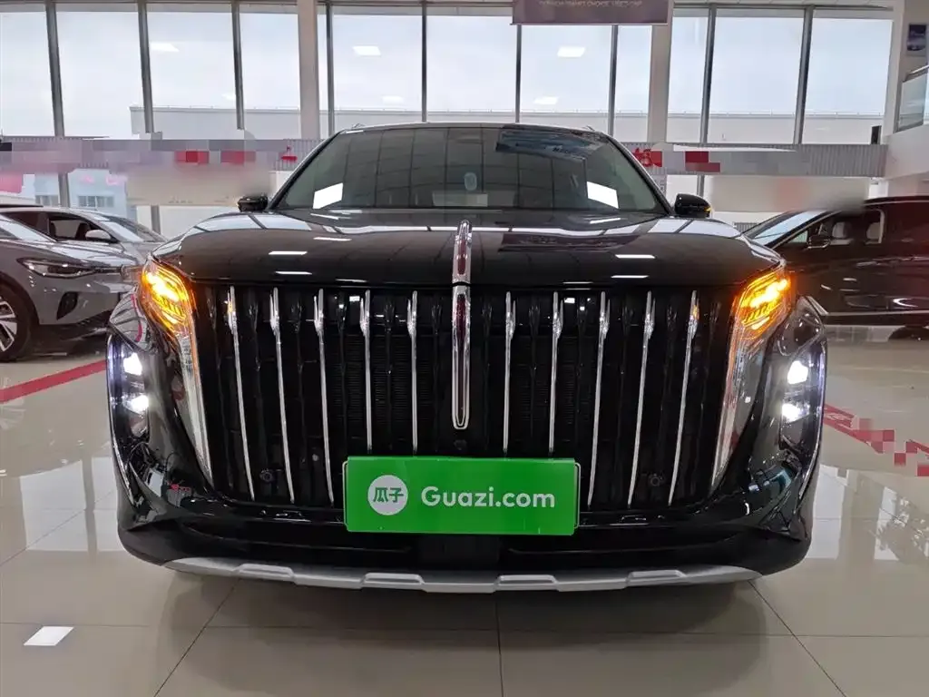 Hongqi HS7 PHEV 2024 из CN, фото 3