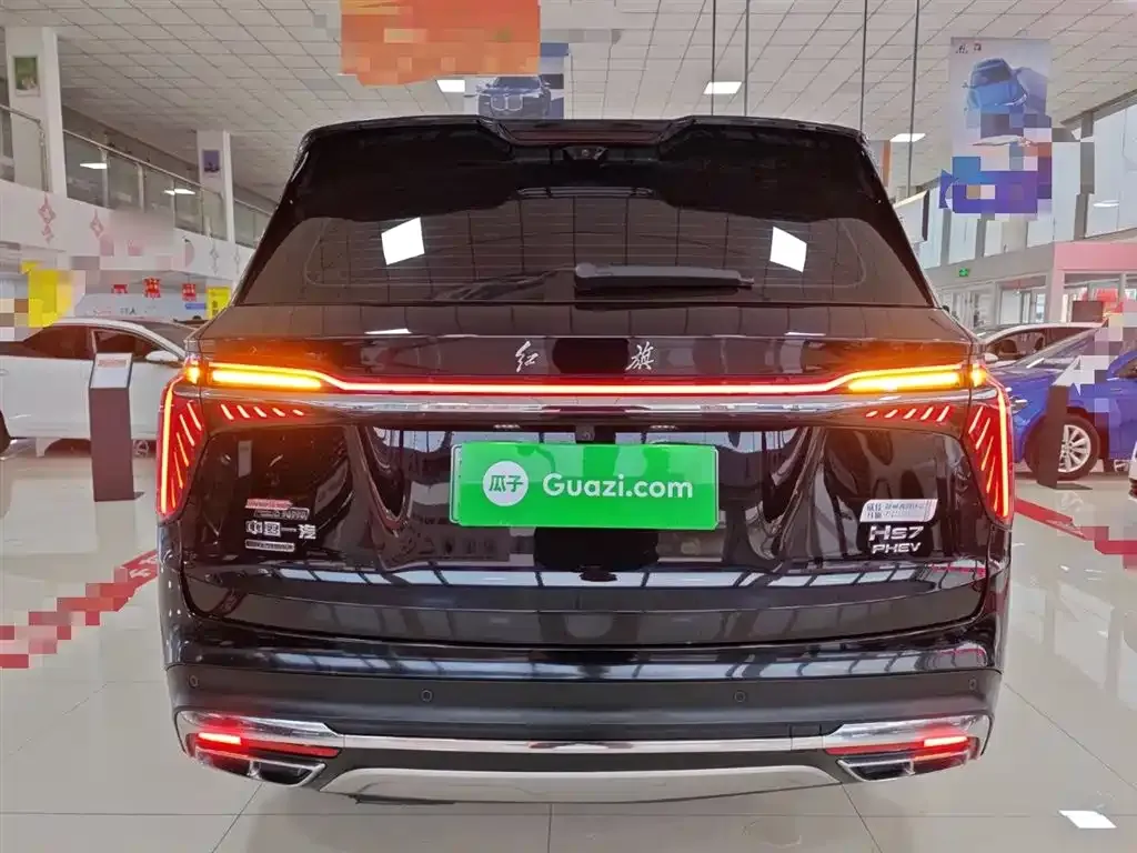 Hongqi HS7 PHEV 2024 из CN, фото 8