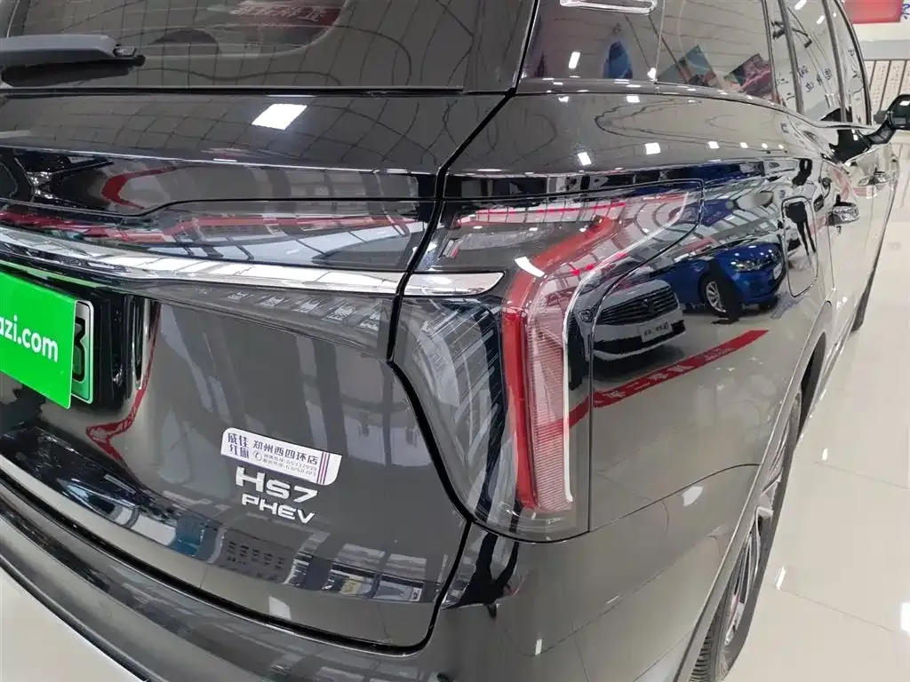 Hongqi HS7 PHEV 2024 из CN, фото 10
