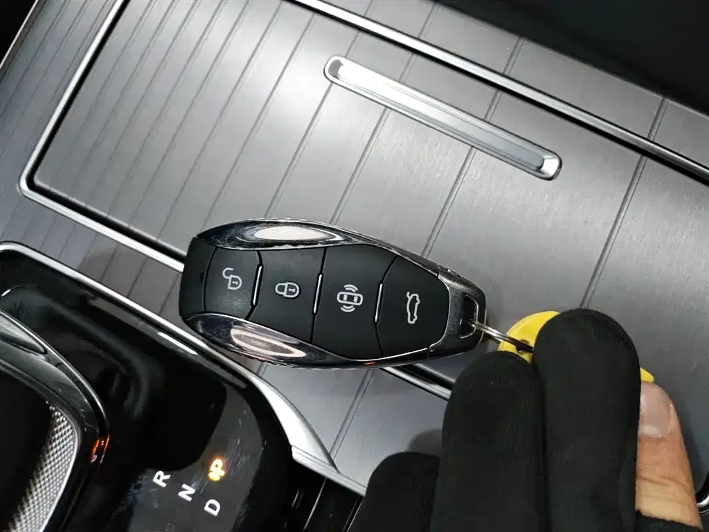 Hongqi HS7 PHEV 2024 из CN, фото 4