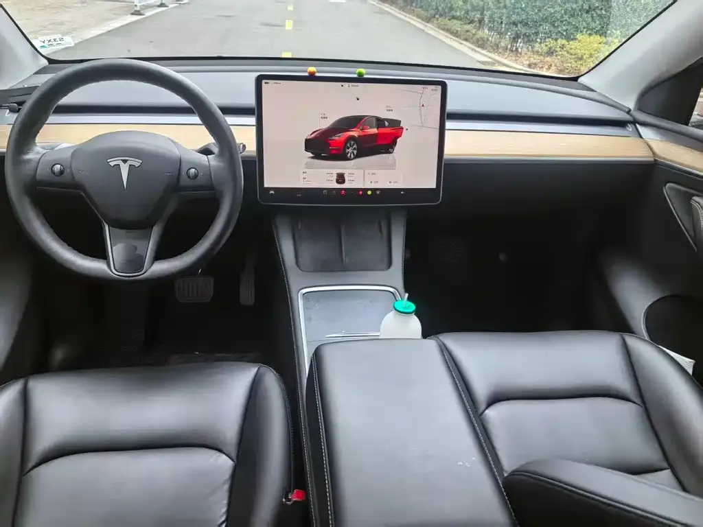 Tesla Model Y — фото 6