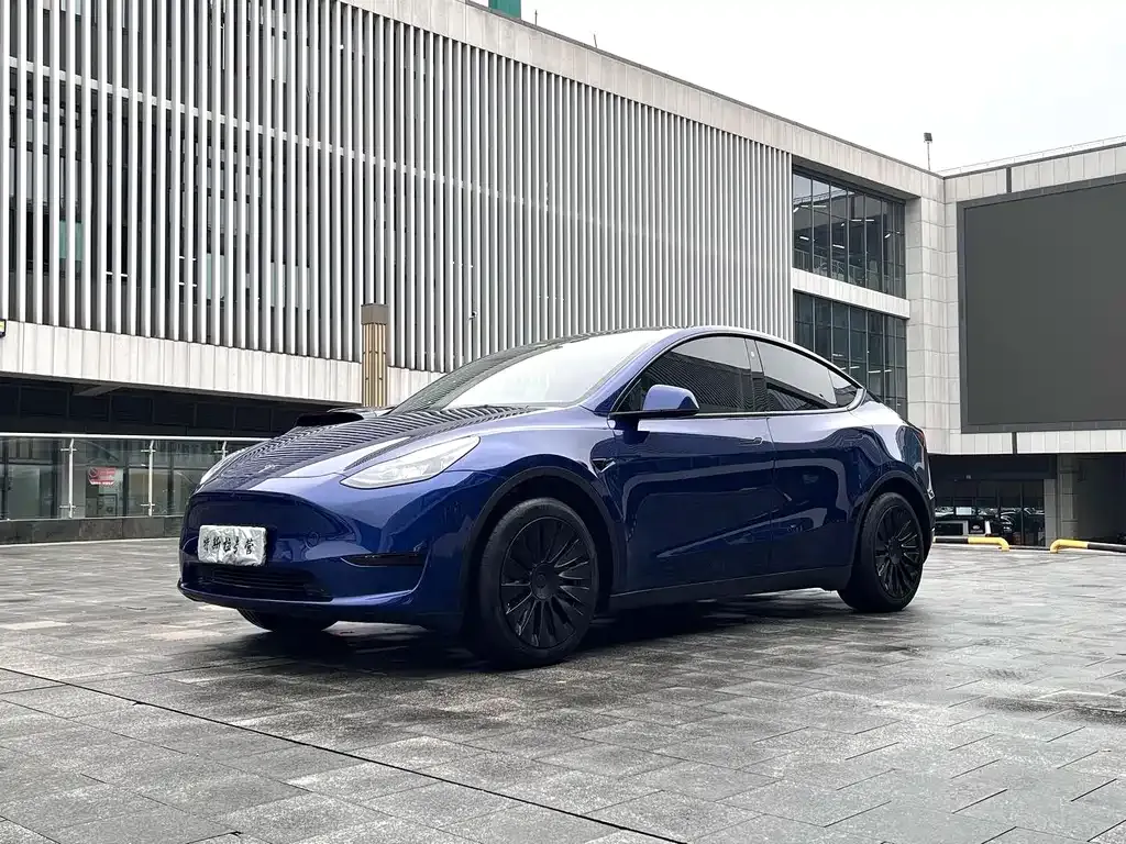 Tesla Model Y 2021 из CN, фото 1