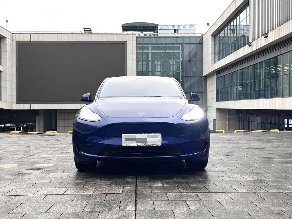 Tesla Model Y 2021 из CN, фото 7