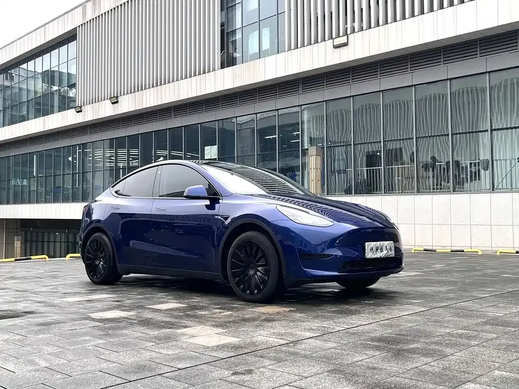 Tesla Model Y 2021 из CN, фото 5