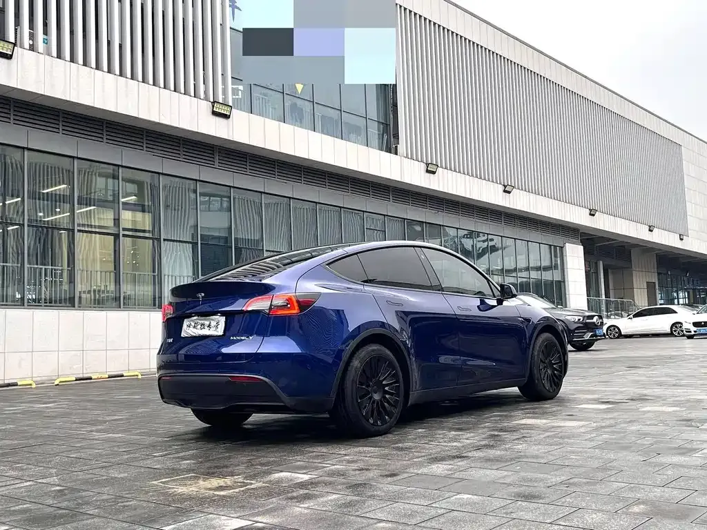 Tesla Model Y 2021 из CN, фото 8