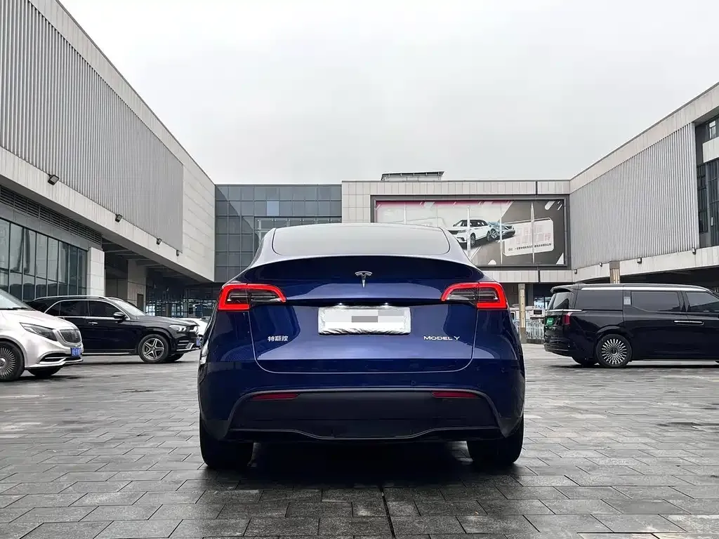 Tesla Model Y 2021 из CN, фото 3