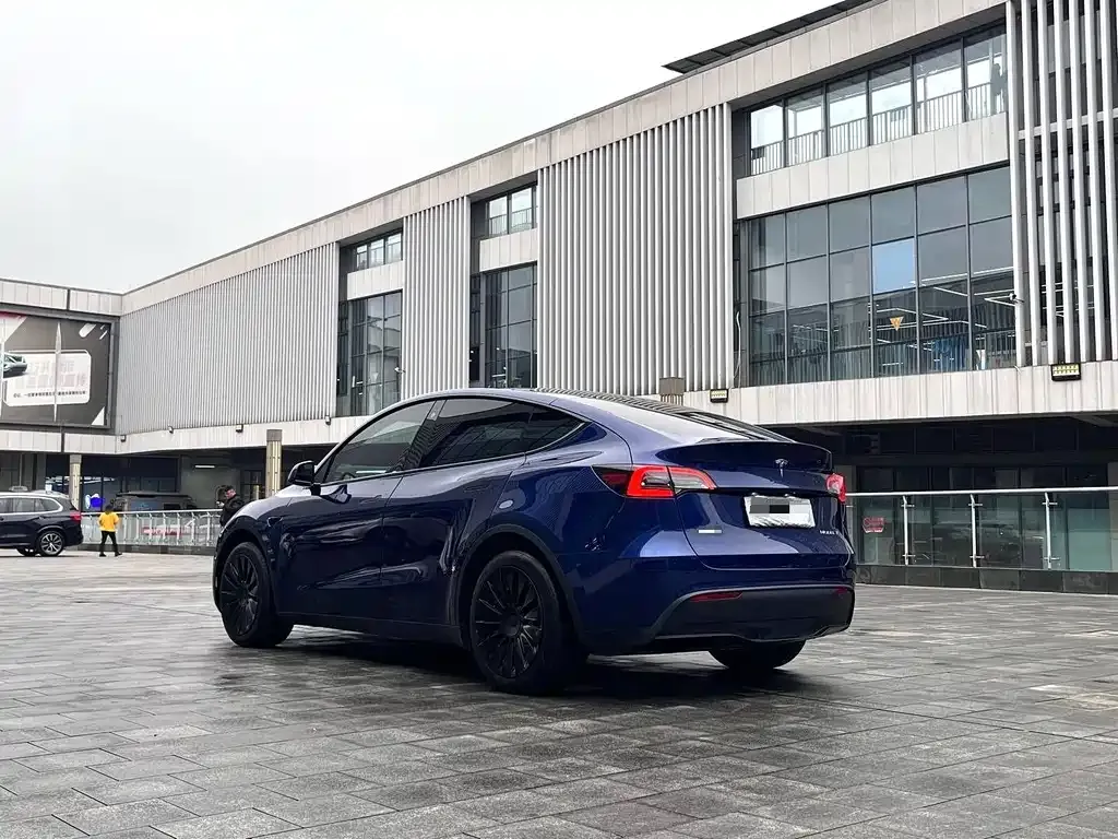 Tesla Model Y 2021 из CN, фото 9