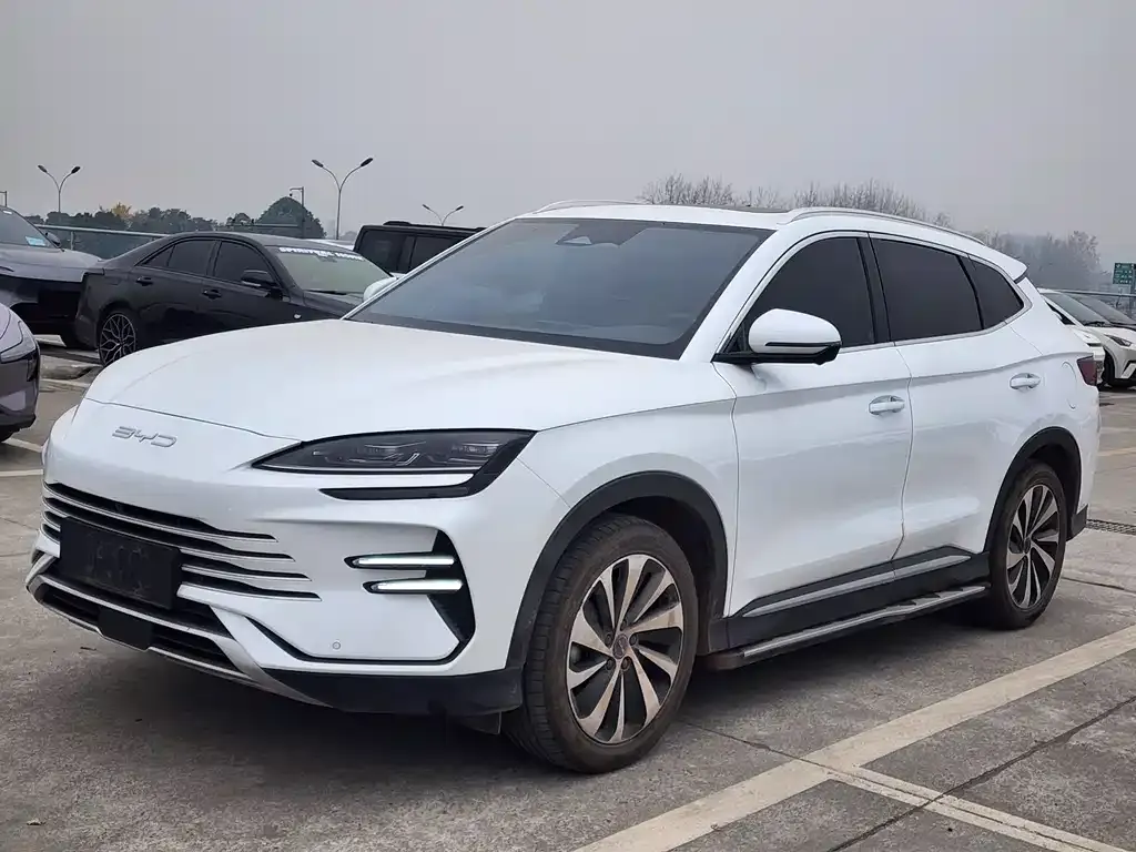 BYD PLUS New Energy 2024 из CN, фото 1