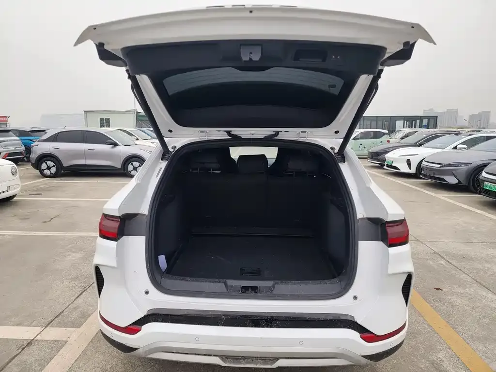 BYD PLUS New Energy 2024 из CN, фото 10
