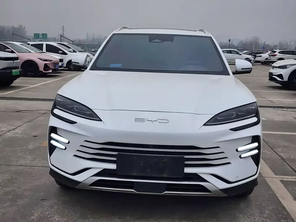 BYD PLUS New Energy 2024 из CN, фото 2