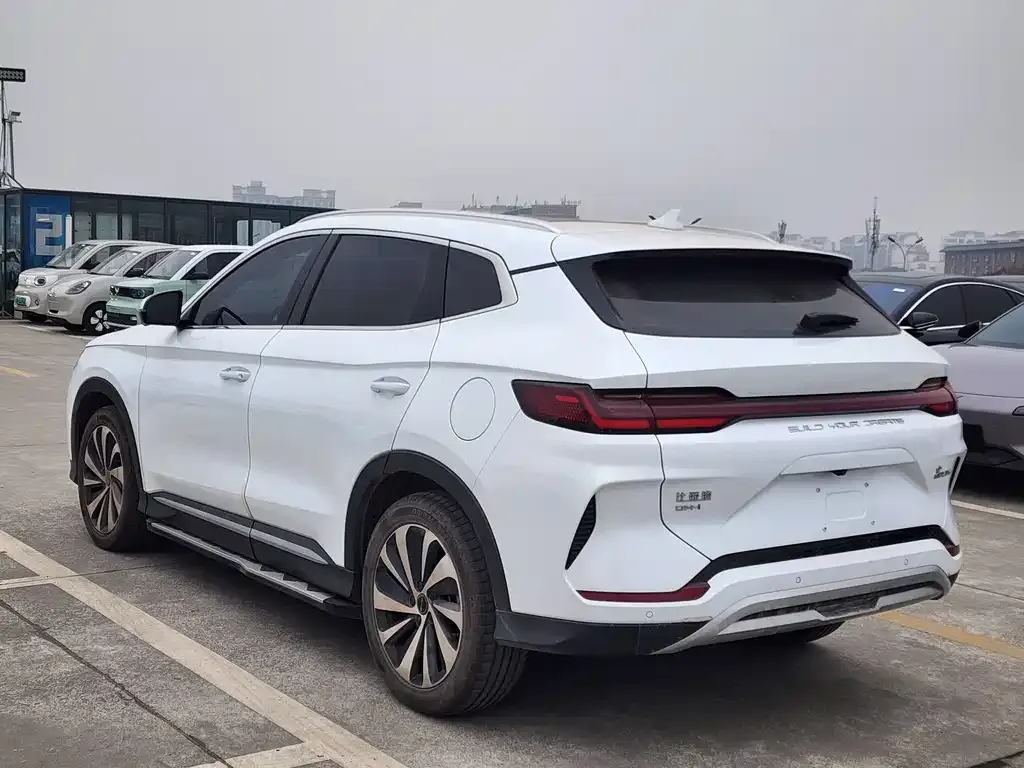 BYD PLUS New Energy 2024 из CN, фото 3
