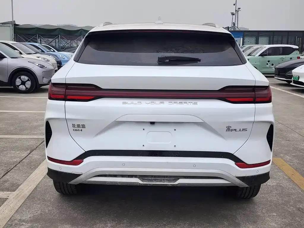 BYD PLUS New Energy 2024 из CN, фото 5