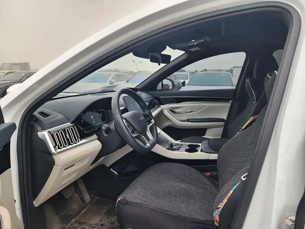 BYD PLUS New Energy 2024 из CN, фото 8