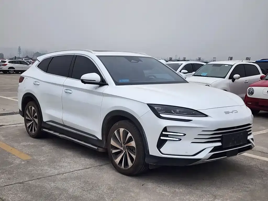BYD PLUS New Energy 2024 из CN, фото 9
