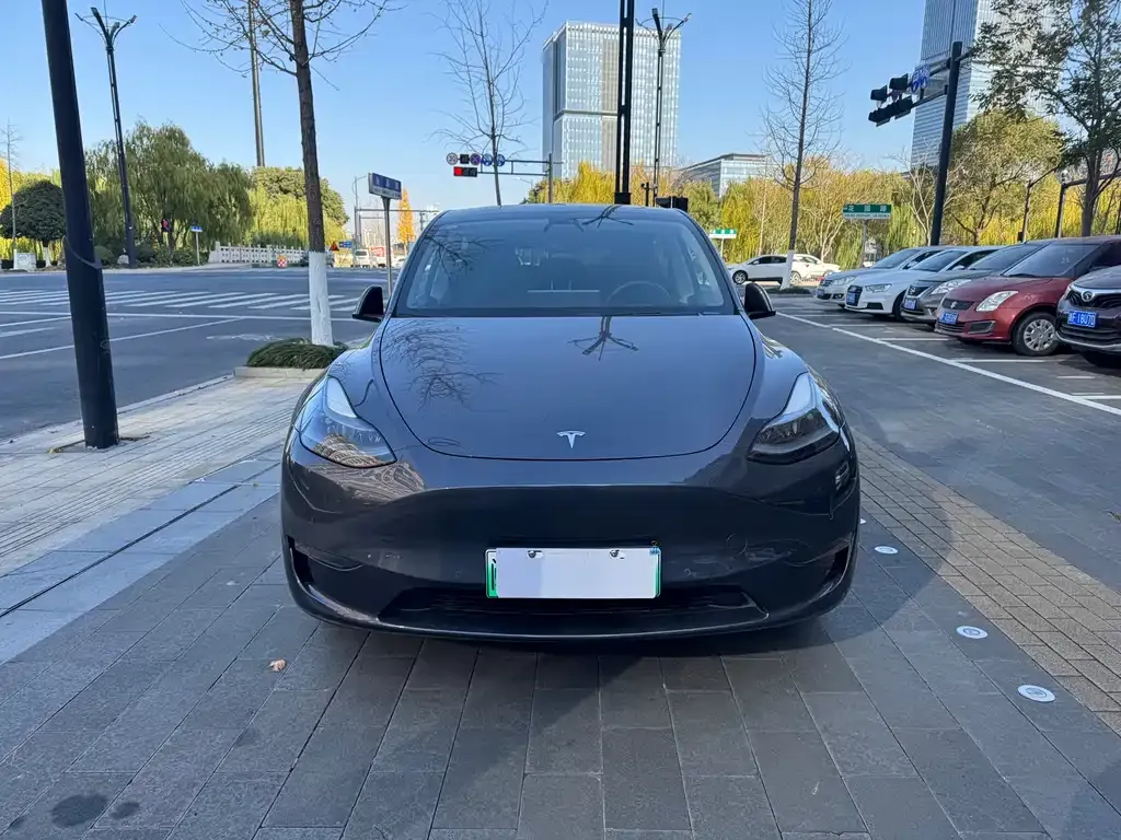 Tesla Model Y 2021 из CN, фото 1