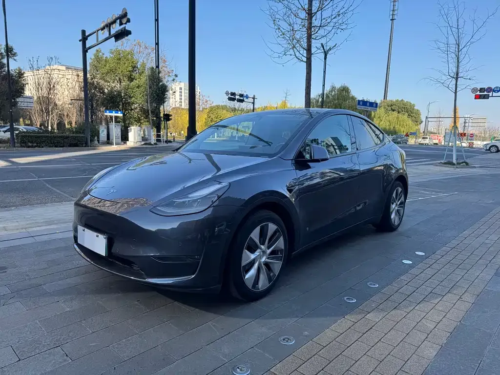 Tesla Model Y 2021 из CN, фото 2