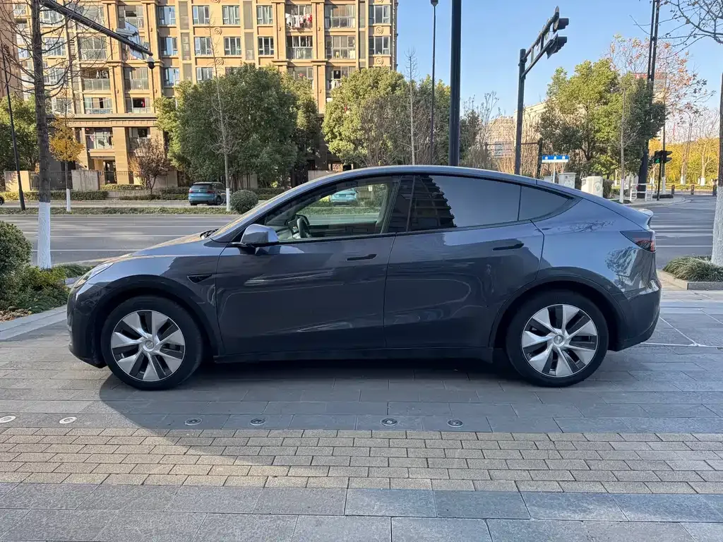 Tesla Model Y 2021 из CN, фото 3