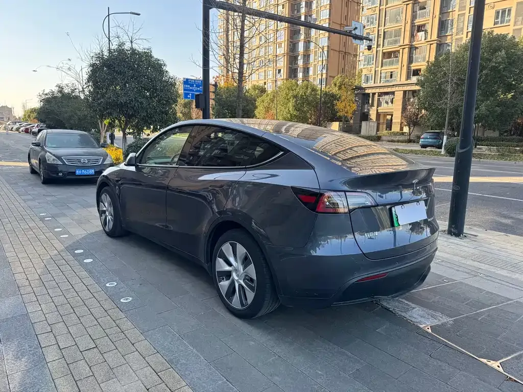Tesla Model Y 2021 из CN, фото 4