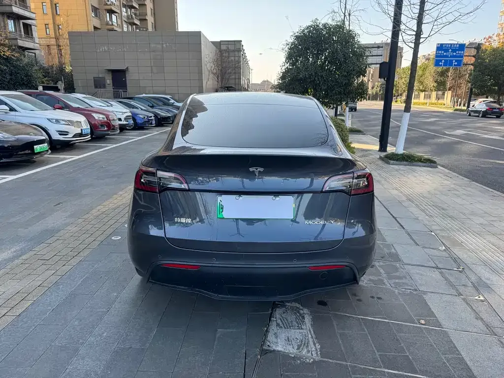 Tesla Model Y 2021 из CN, фото 5