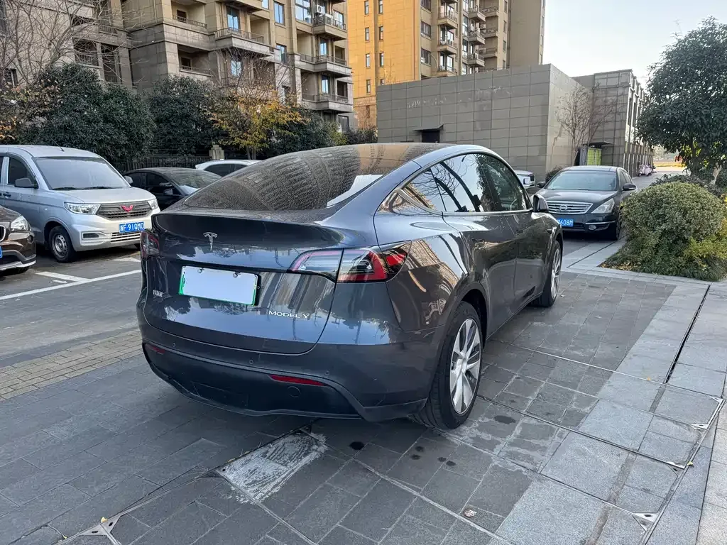 Tesla Model Y 2021 из CN, фото 6