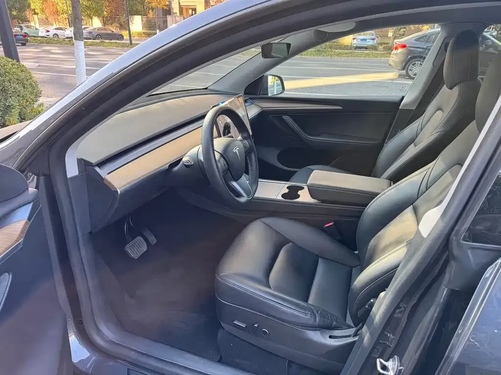 Tesla Model Y 2021 из CN, фото 7