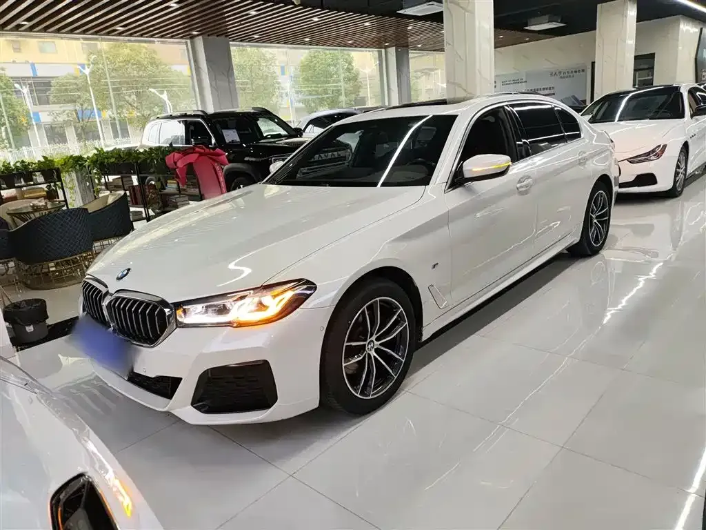 BMW 5 Series 2022 из CN, фото 1