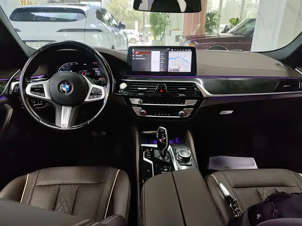 BMW 5 Series 2022 из CN, фото 9