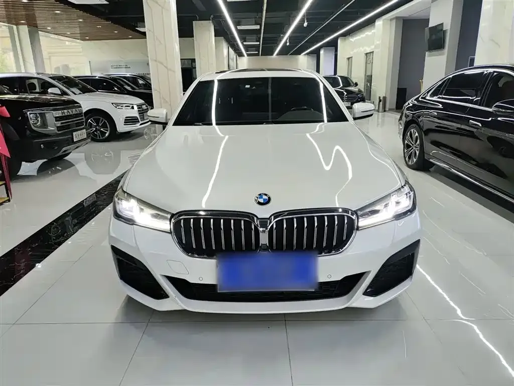 BMW 5 Series 2022 из CN, фото 2