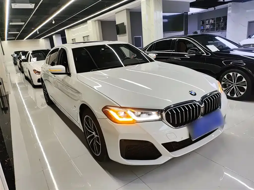 BMW 5 Series 2022 из CN, фото 6