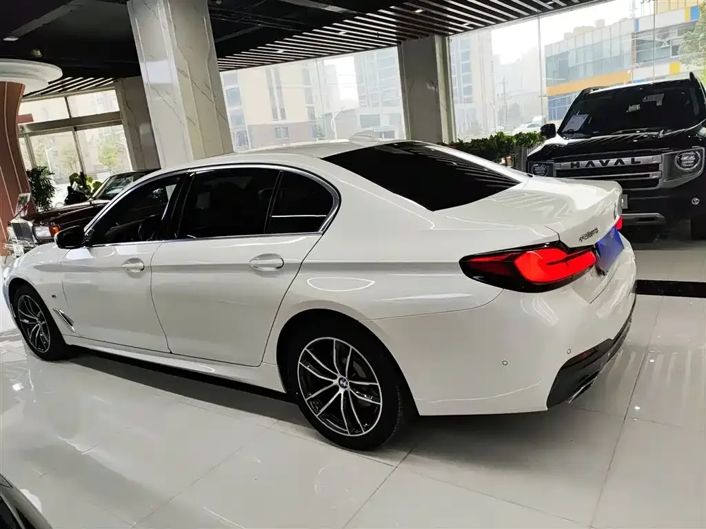 BMW 5 Series 2022 из CN, фото 8