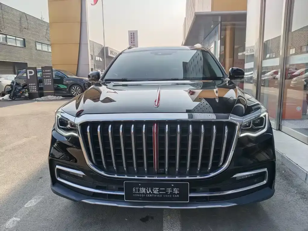 Hongqi HS7 2023 из CN, фото 3