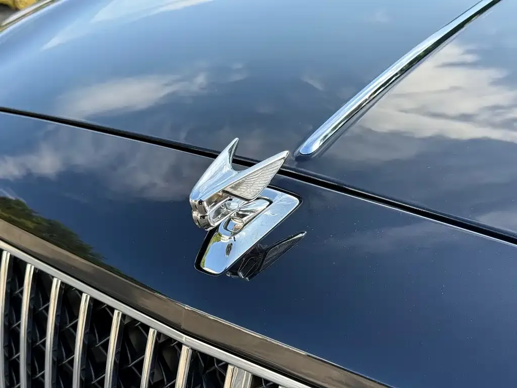 Bentley Flying Spur 2021 из CN, фото 5