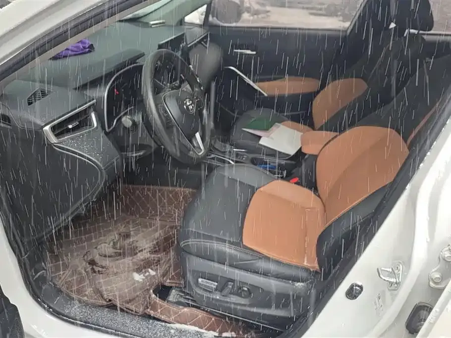 Toyota Frontlander 2023 из CN, фото 9