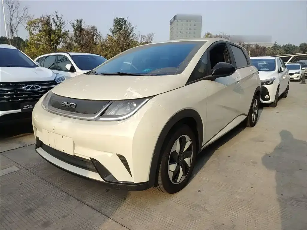 BYD Dolphin 2024 из CN, фото 1
