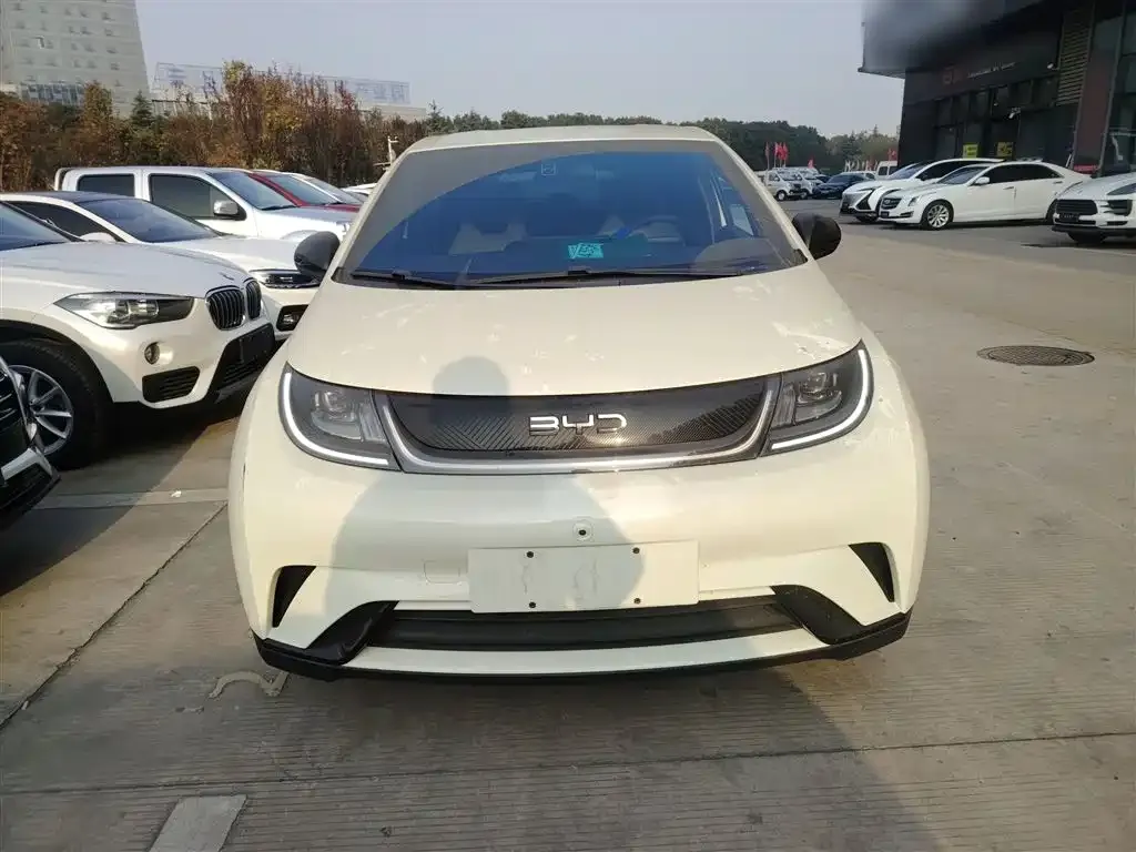 BYD Dolphin 2024 из CN, фото 3