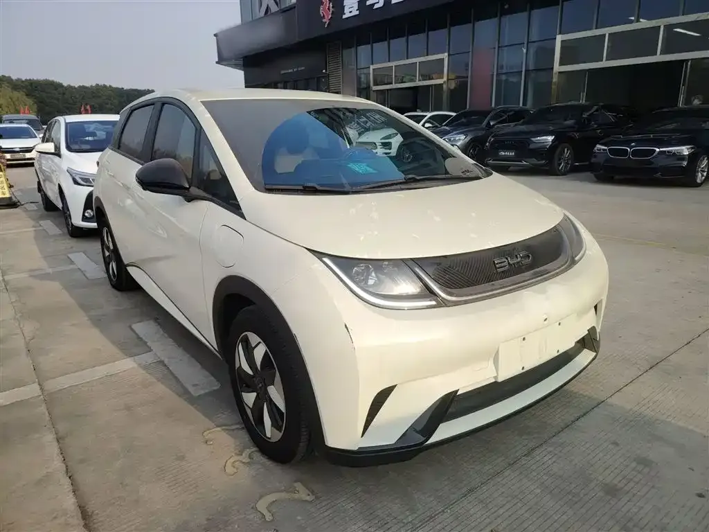 BYD Dolphin 2024 из CN, фото 4