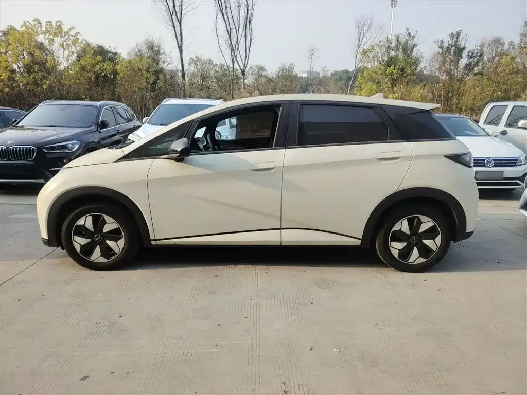 BYD Dolphin 2024 из CN, фото 5