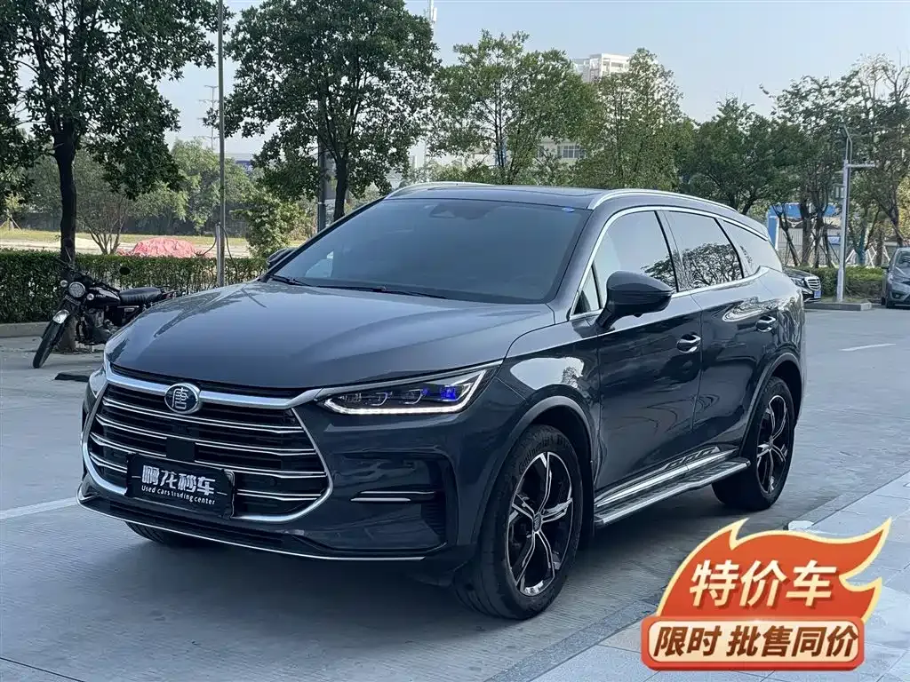 BYD Tang New Energy 2022 из CN, фото 2