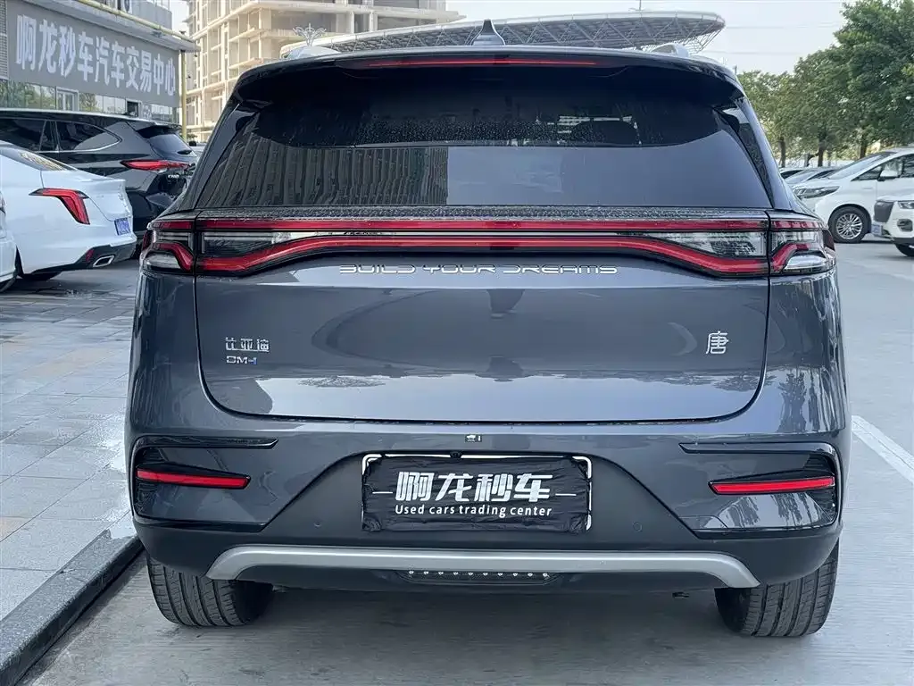 BYD Tang New Energy 2022 из CN, фото 8