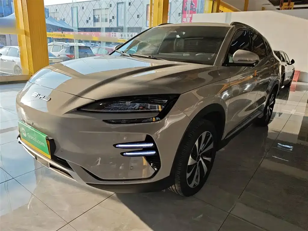 BYD PLUS New Energy 2024 из CN, фото 3