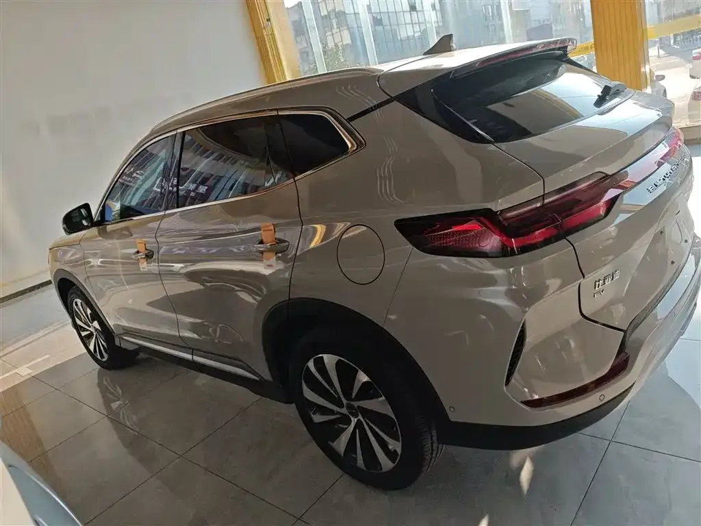 BYD PLUS New Energy 2024 из CN, фото 10