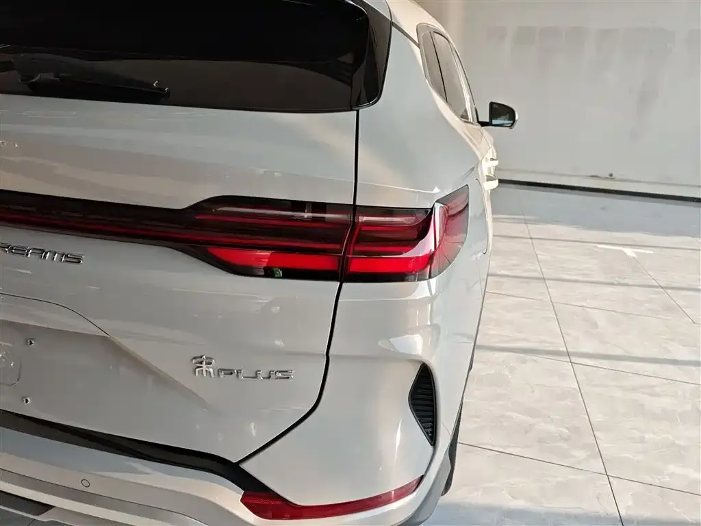 BYD PLUS New Energy 2024 из CN, фото 7