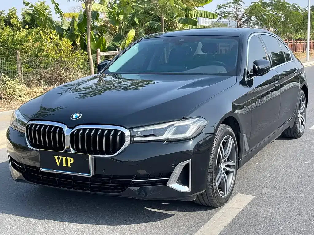 BMW 5 Series 2023 из CN, фото 1