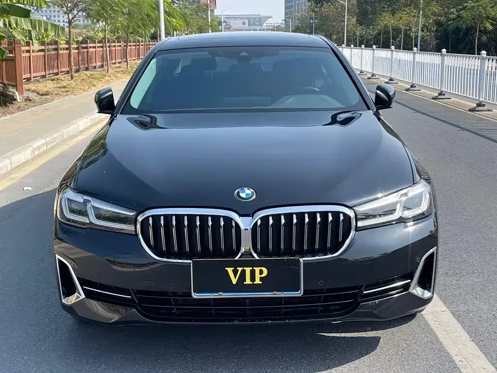 BMW 5 Series 2023 из CN, фото 3