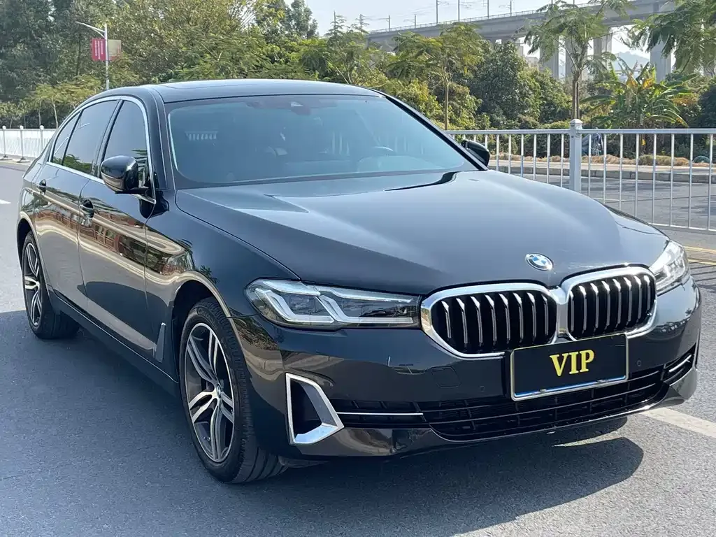 BMW 5 Series 2023 из CN, фото 10