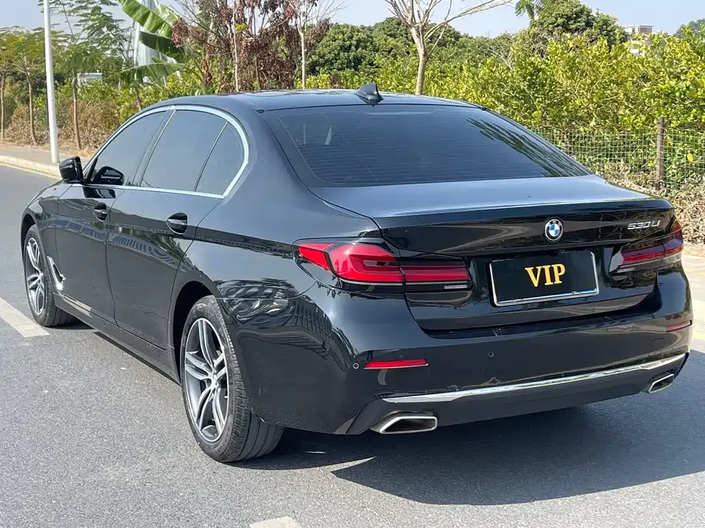 BMW 5 Series 2023 из CN, фото 6